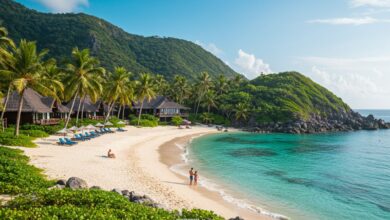 rowi vitaly island